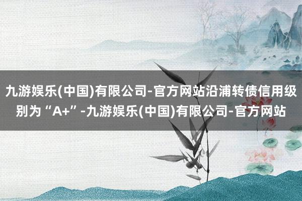 九游娱乐(中国)有限公司-官方网站沿浦转债信用级别为“A+”-九游娱乐(中国)有限公司-官方网站