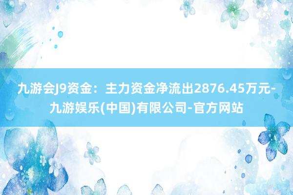 九游会J9资金：主力资金净流出2876.45万元-九游娱乐(中国)有限公司-官方网站