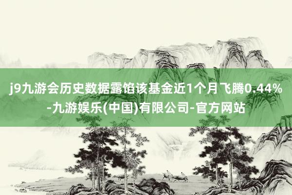 j9九游会历史数据露馅该基金近1个月飞腾0.44%-九游娱乐(中国)有限公司-官方网站