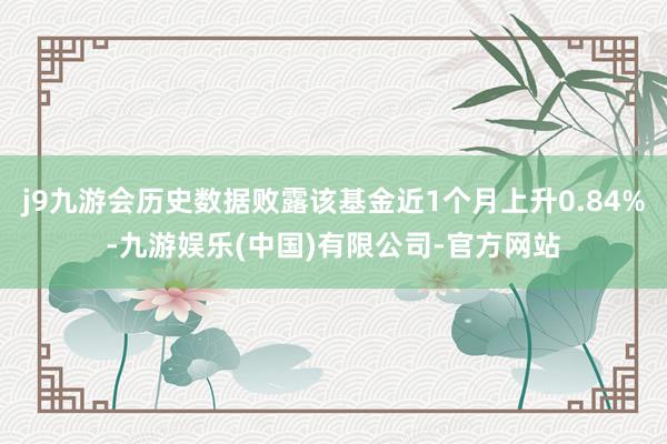 j9九游会历史数据败露该基金近1个月上升0.84%-九游娱乐(中国)有限公司-官方网站